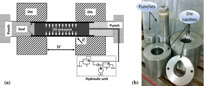 Experimental And Numerical Study On Forming Limit Diagrams Of 304 Open Image In New Window