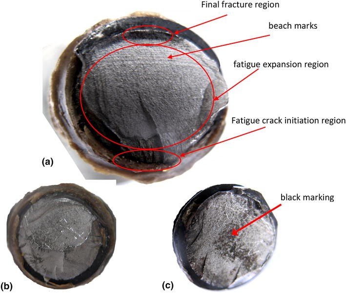 Failure and Fracture Analysis of Bolt Assembled on the Fan Used in the