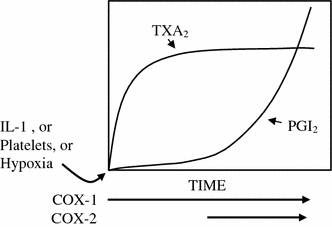 Selective Cox 2 Inhibitors Eicosanoid Synthesis And Clinical