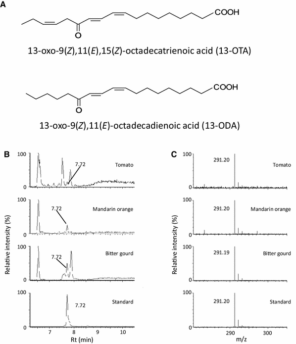 13 Oxo 9 Z11 E15 Z Octadecatrienoic Acid Activates