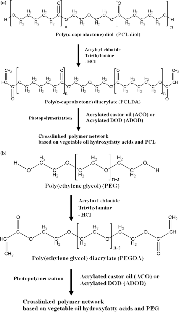 cross linked polymer