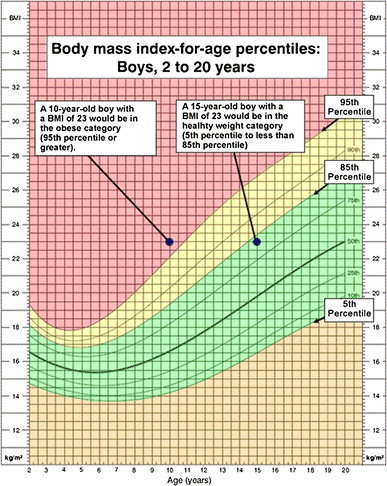 Association Between Body Mass Index For Age And Slipped Capital