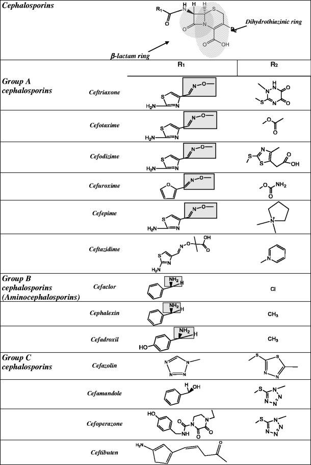 cross reactivity among beta lactams springer for cephalosporin side chain chart