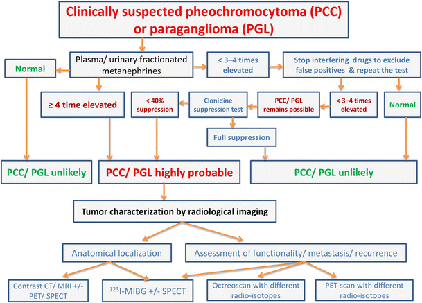 Diagnosis And Management Of Pheochromocytoma A Practical Guide To Clinicians Springerlink 2247