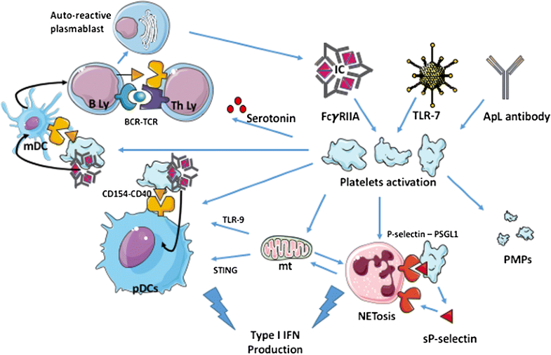 New Insights on Platelets and PlateletDerived Microparticles in