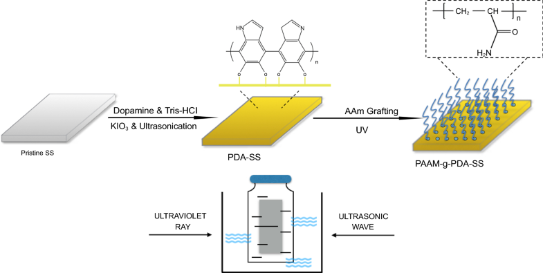 UV irradiation grafting of acrylamide onto dopamine 