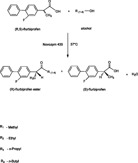 high enantioselective novozym 435 catalyzed esterification of r s fs form 1455