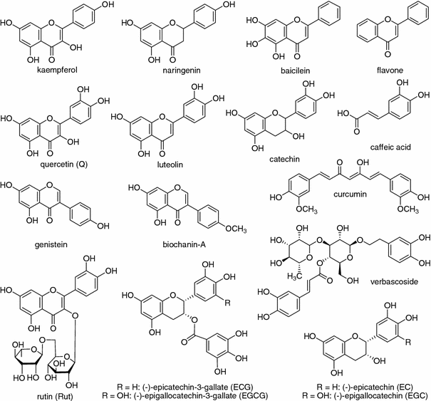 A Review of the Antioxidant Mechanisms of Polyphenol Compounds Related