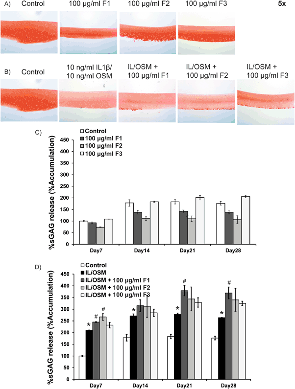 Fish Collagen Hydrolysates Modulate Cartilage Metabolism