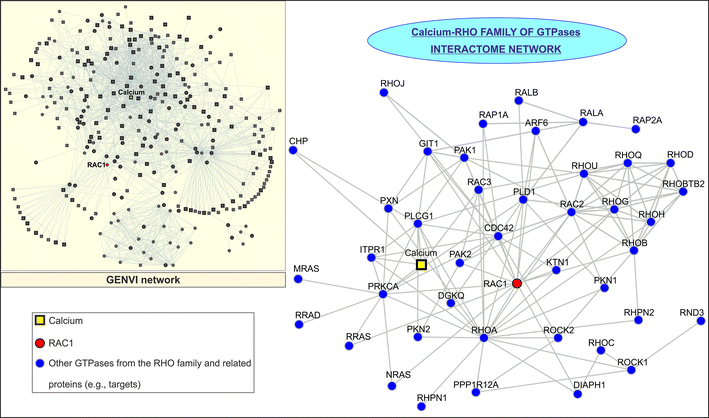 Triple Hit Study May Explain Autisms >> Exploring The Multifactorial Nature Of Autism Through Computational Triple Hit Study May Explain Autisms >> Exploring The Multifactorial Nature Of Autism Through Computational