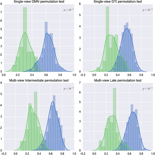 Multi-View Ensemble Classification of Brain Connectivity Images for