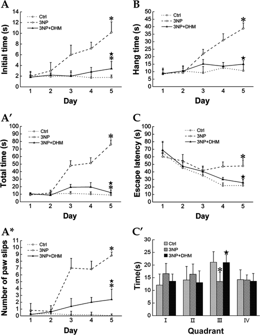 new balance 754 kinderen 2016