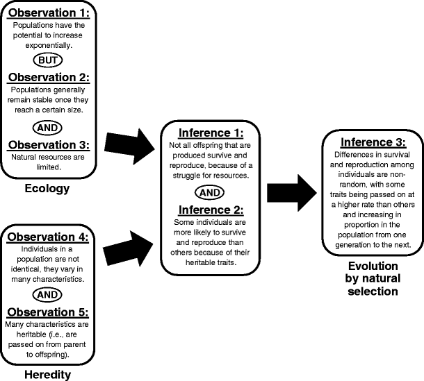 Understanding Natural Selection Essential Concepts And Common Misconceptions Springerlink