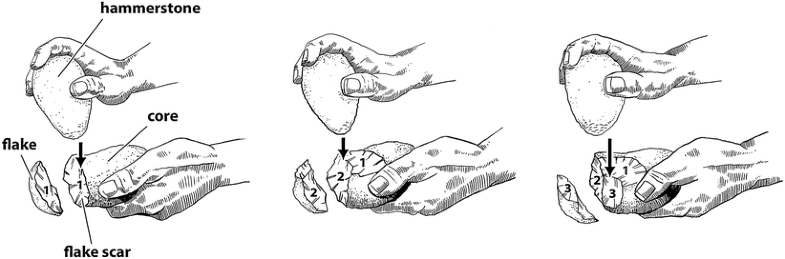read Progress in Molecular
