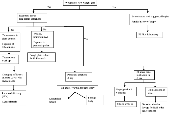 Approach to Chronic Cough | SpringerLink