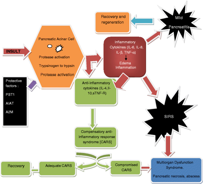 Pancreatitis in Children | SpringerLink