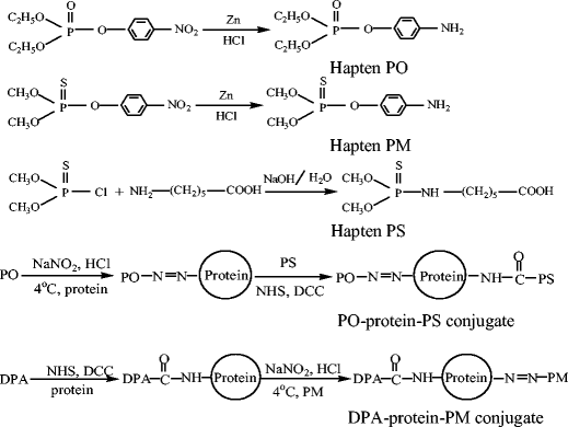 development of a broad specificity immunoassay for hapten