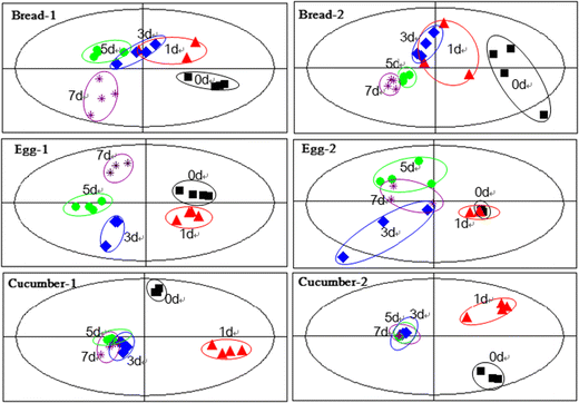 evaluating potential markers of spoilage foods using a metabolic open image in new window