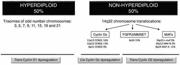 Molecular Pathogenesis Of Multiple Myeloma Basic And - 