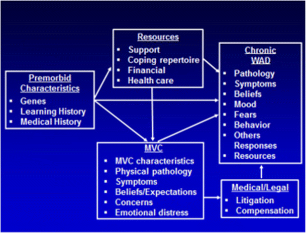 The Impact Of Psychosocial And Contextual Factors On Individuals