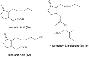 The Effects Of Dormancy Status On The Endogenous Contents And Biological Activities Of Jasmonic Acid N Jasmonoyl Isoleucine And Tuberonic Acid In Potato Tubers Springerlink