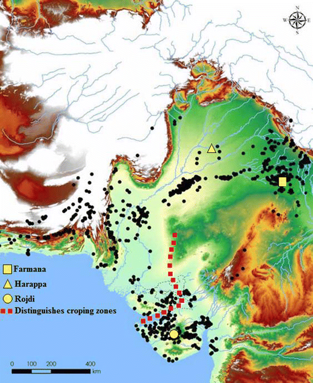 The vanishing millets of the Indus civilization SpringerLink