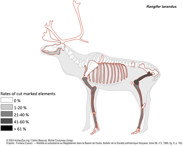 Neanderthal Selective Hunting Of Reindeer The Case Study Of