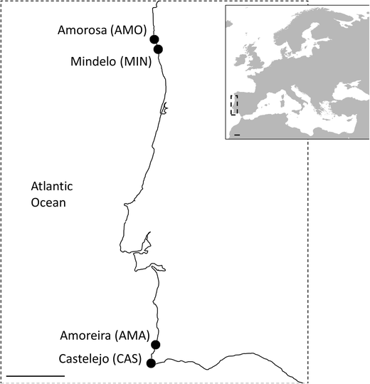 Canopy Microclimate Modification In Central And Marginal