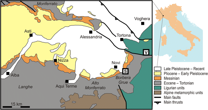Revision And Re Description Of Micropeltis Isseli Airaghi - 