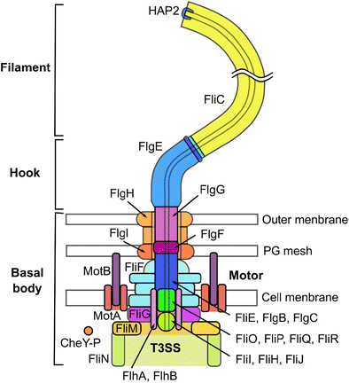 2004 Kium Engine Diagram