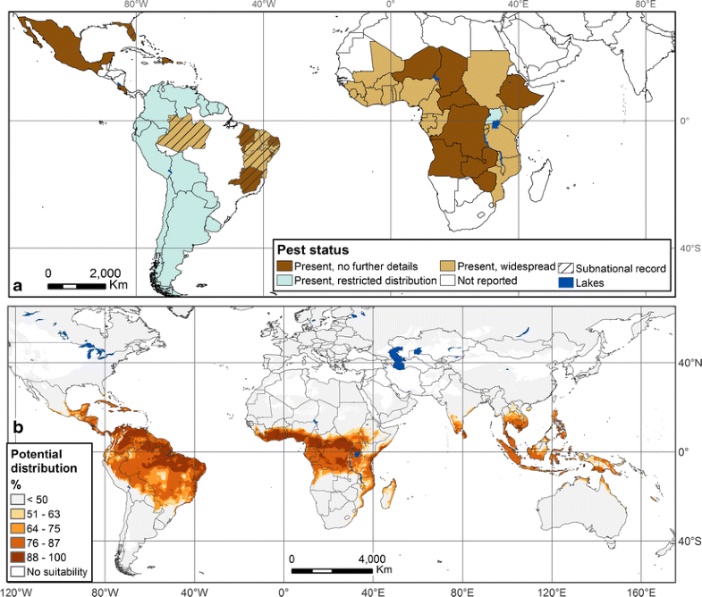 Threats to cassava production: known and potential geographic ...