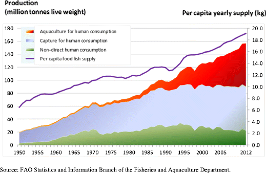 Feeding 9 Billion By 2050 Putting Fish Back On The Menu - 