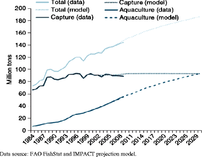 Feeding 9 Billion By 2050 Putting Fish Back On The Menu - 