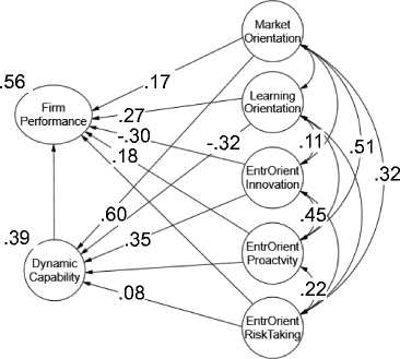 Strategic Orientations Dynamic Capabilities And Firm - 