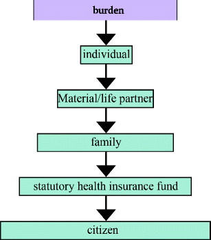 The German Healthcare System Springerlink - 