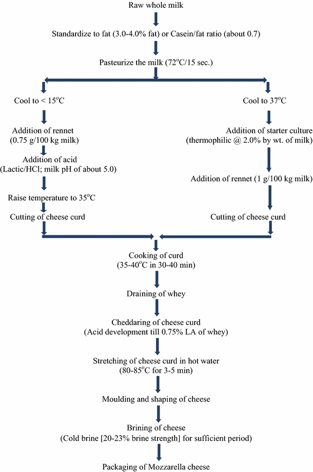 Mozzarella Cheese Process Flow Chart