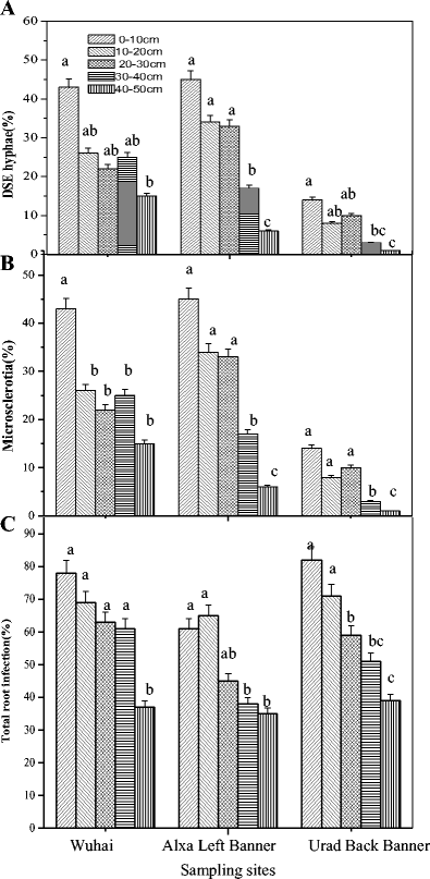 Spatial Dynamics Of Dark Septate Endophytes And Soil Factors In