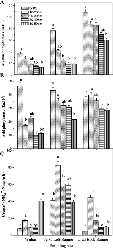 Spatial Dynamics Of Dark Septate Endophytes And Soil Factors In