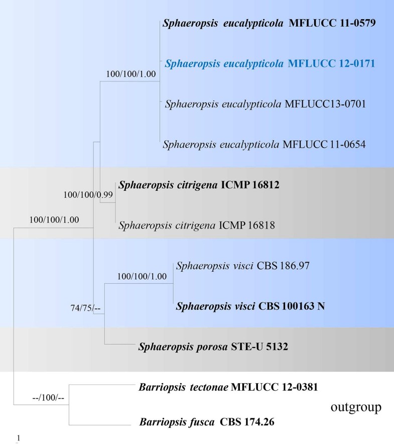 1021 M Scheme Syllabus 1021 M Scheme Syllabus