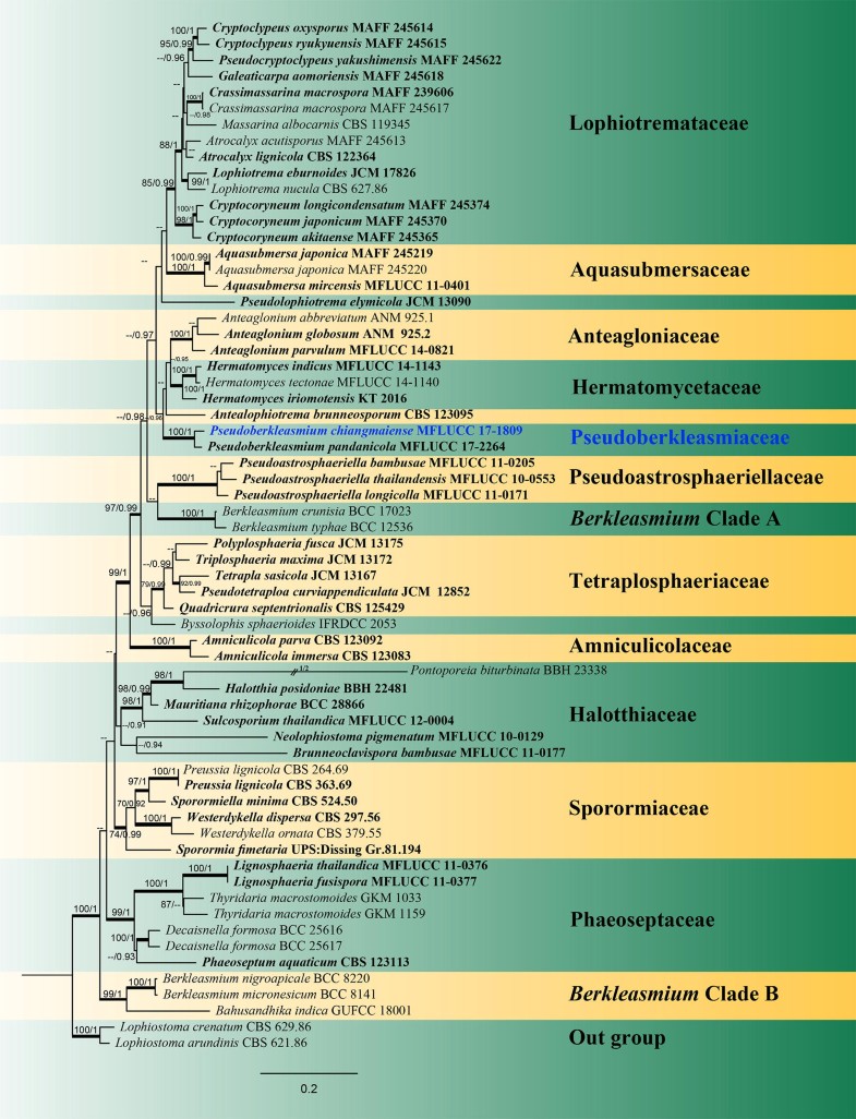 Fungal Diversity Notes 10361150 Taxonomic And Phylogenetic - 