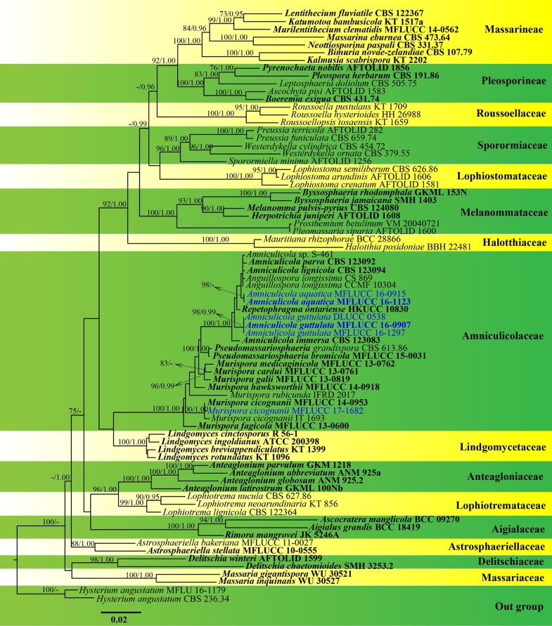 Fungal Diversity Notes 10361150 Taxonomic And Phylogenetic - 