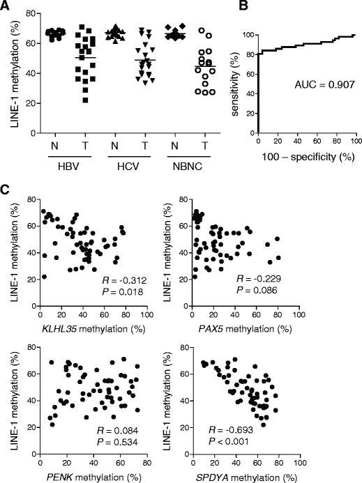 Genome Wide Analysis Of Dna Methylation Identifies Novel