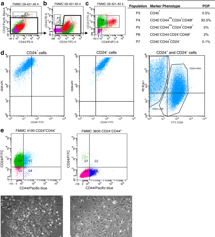 Characterization of mammary cancer stem cells in the MMTVPyMT mouse model SpringerLink