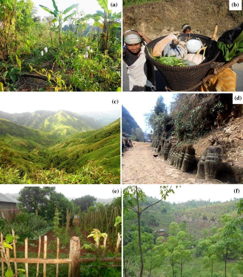 From jhum to broom Agricultural landuse change and food security implications on the Meghalaya