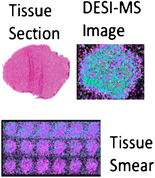 Graphical Abstract