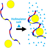 Graphical Abstract