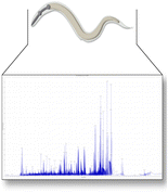 Graphical Abstract