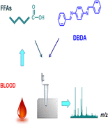 Graphical Abstract