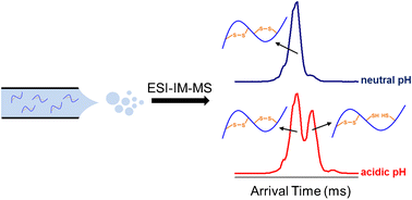 Graphical Abstract