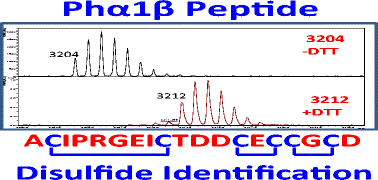 Graphical Abstract